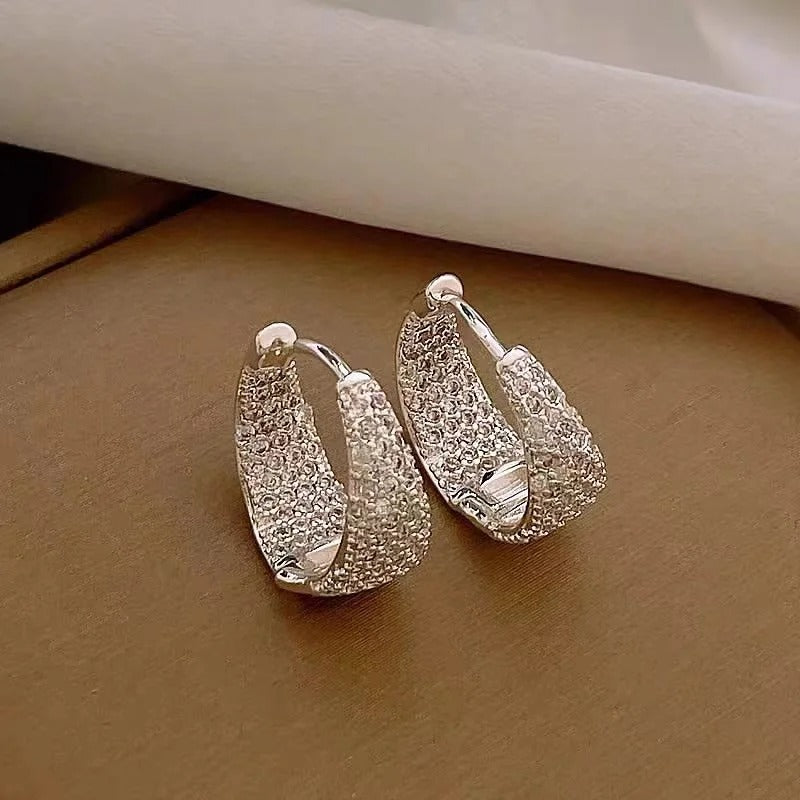 Silver Crystal Studded Hoop Earrings-Lydieannejewelry